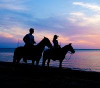 Horseback Riding